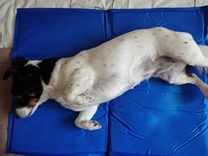 Lauva Dog Cooling Mat Medium,