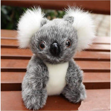 Load image into Gallery viewer, Super Cute Small Koala Bear Soft Toy- Everyone Wants One Of These - J and p hats Super Cute Small Koala Bear Soft Toy- Everyone Wants One Of These