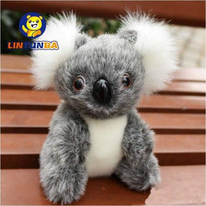 Super Cute Small Koala Bear Soft Toy- Everyone Wants One Of These - J and p hats Super Cute Small Koala Bear Soft Toy- Everyone Wants One Of These