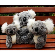 Load image into Gallery viewer, Super Cute Small Koala Bear Soft Toy- Everyone Wants One Of These - J and p hats Super Cute Small Koala Bear Soft Toy- Everyone Wants One Of These